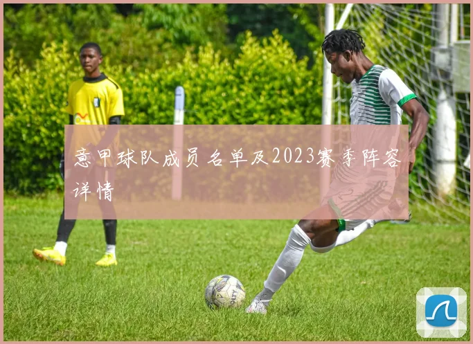 意甲球队成员名单及2023赛季阵容详情