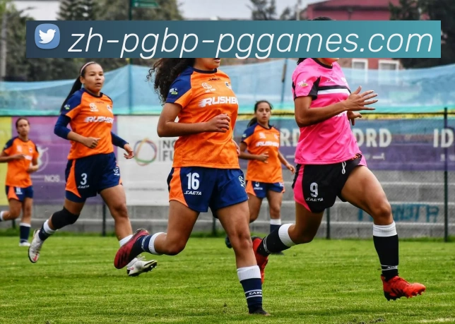 PG模拟器平台生态图