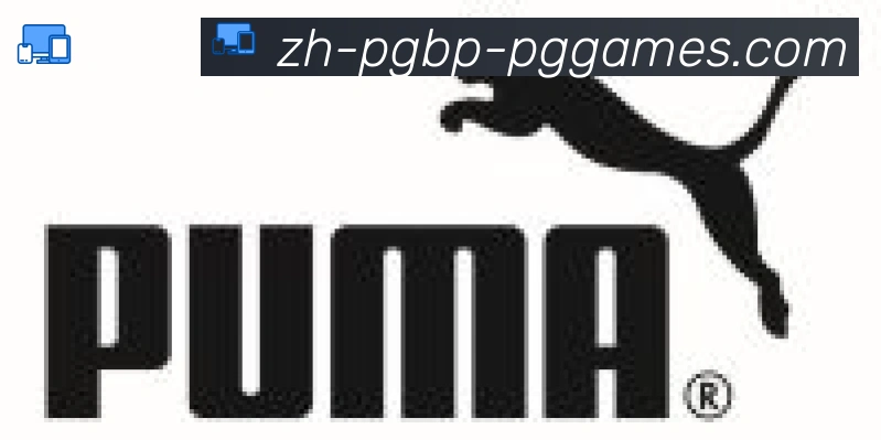 PG模拟器合作伙伴